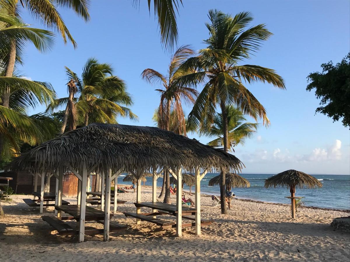 Coeur Tiare Studio Lounge Piscine Plage Cocotiers Saint-Francois  Exterior foto